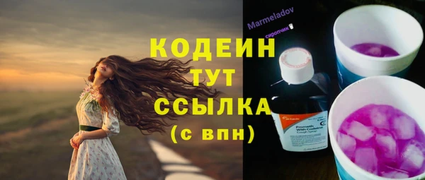 спайс Кулебаки