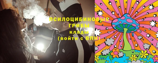 спайс Кулебаки